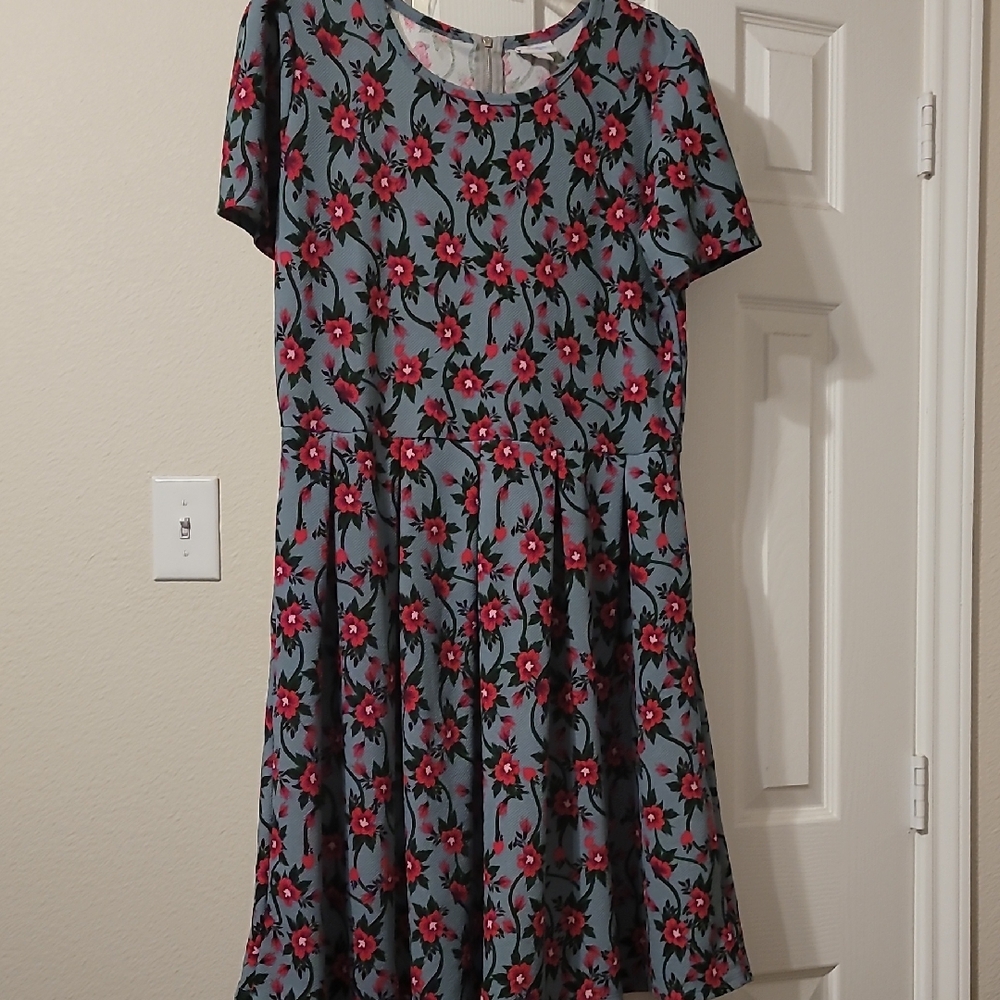LuLaRoe Blue Dress with Red Floral Pattern